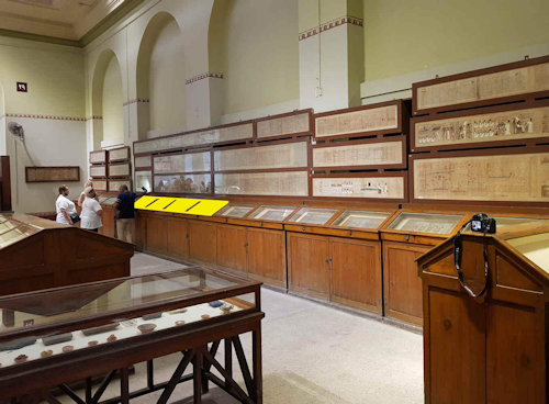 anxf-n-xnsw-A.-see-Schott-7487-7488-Cairo-Museum-Room-29-VB-2021-a