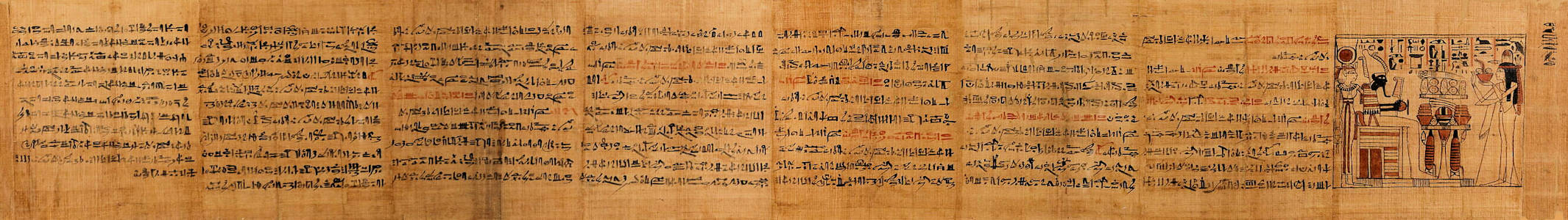 MuseumPlus 5.1.00 324