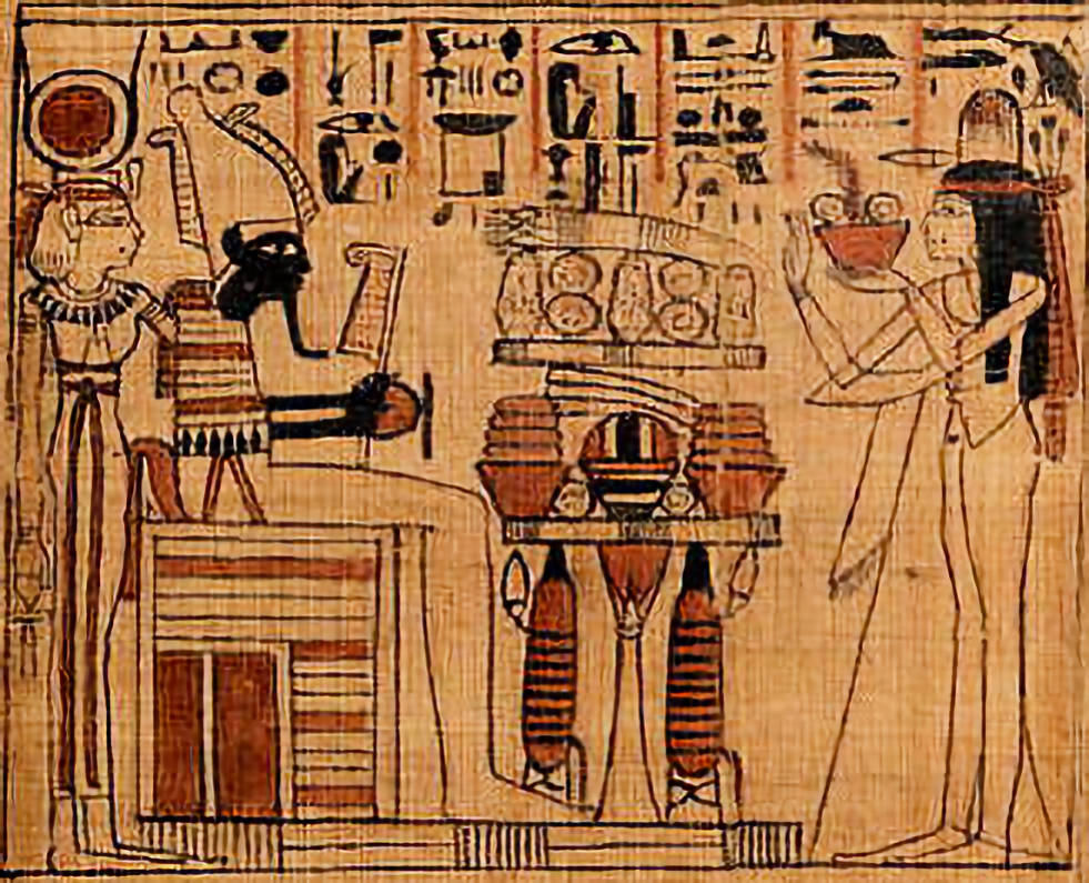 MuseumPlus 5.1.00 324